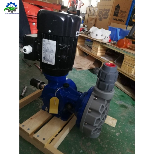 bơm màng wilden P4/SSAPP/TNU/TF/STF/0014